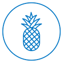 Pineapple Color Outline icon