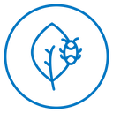 Plant pests icon