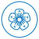 Plum Blossom icon