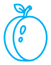 Plum icon