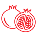 Pomegranate icon