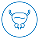 Prostate icon