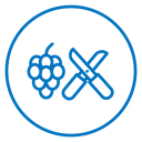 Pruning grape icon