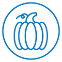 Pumpkin icon