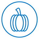 Pumpkin 2 icon