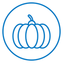 Pumpkin 3 icon