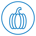 Pumpkin 6 icon