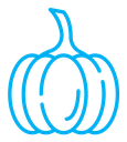 Pumpkin icon