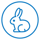 Rabbit icon