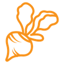 Radish icon