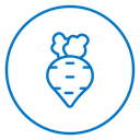 Radish 2 icon