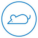 Rat icon