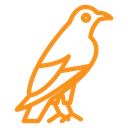 Raven icon