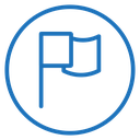 Report flag icon