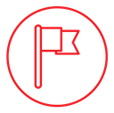 Report flag icon
