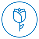 Rose icon
