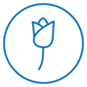 Rose 2 icon