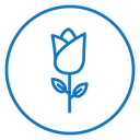Rose icon
