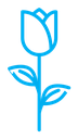 Rose Icon (2) icon