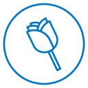 Rose 2 icon
