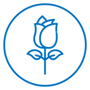 Rose Bud Color Outline icon