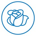 Rose flower icon