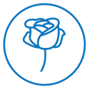 Rose flower icon