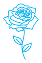 Rose flower icon