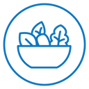 Salad icon