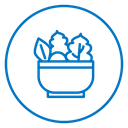 Salad 2 icon