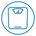 Scale icon