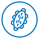 Sea cucumber icon