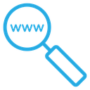 Searching Website Color Outline icon