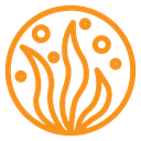 Seaweed icon