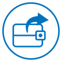 Send money icon