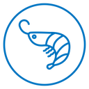 Shrimp icon