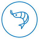 Shrimp 2 icon