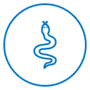 Snake 2 icon