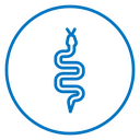 Snake icon