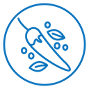 Spices icon