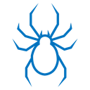 Spider icon