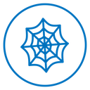 Spider web icon