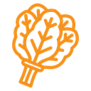 Spinach icon