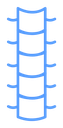 Spinal column Color Outline icon