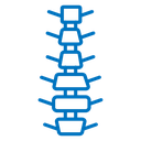 Spinal column icon