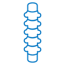 Spine icon