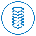 Spine icon