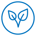 Sprout Leaves Color Outline icon
