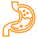 Stomach icon