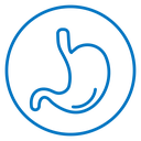 Stomach icon